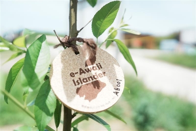 4ZQH72OCwbawH9O9MhSK.jpg?w=940&h=940