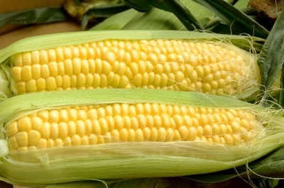 スイートコーン