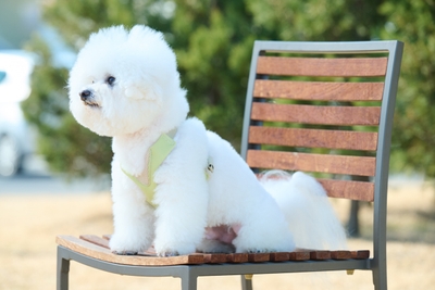 4cC5rpEg5B5tuCuwq1Rg.jpg?w=940&h=940