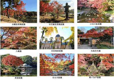 4cOPeXKuhh3FCikIm9Zr.png?w=940&h=940