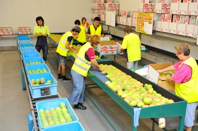 4fmPGHm05yoawgR2qNon.jpg?w=940&h=940