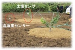 図2 温湿度センサと土壌センサの設置状況