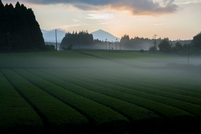 4h1IitJBX6Msh3ZcbgTb.jpg?w=940&h=940