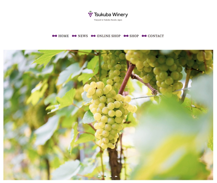 つくばワイナリーホームページ