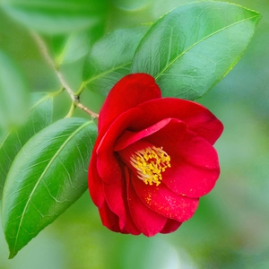 4hsN9awErI05Awvq1W7p.jpg?w=940&h=940