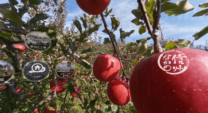 「信州なかの」ロゴをクリックすると、りんご狩りの動画が見られます