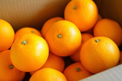 4iFX3ZRlmhyp6WfqqedA.jpg?w=940&h=940