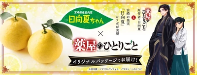 大人気小説「薬屋のひとりごと」コラボパッケージの柑橘「日向夏」を ＪＡタウンで販売中！
