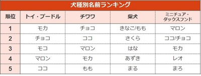 犬の名前ランキング2019（犬種別）