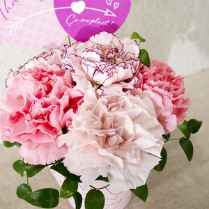 4ja8bScHL33dhqjjY2PS.jpg?w=940&h=940