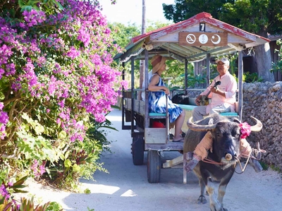 4kJg7iNE8ySSroNKPHBZ.jpg?w=940&h=940