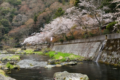 4lF3EO8Ng3lBDTwwQdB9.jpg?w=940&h=940