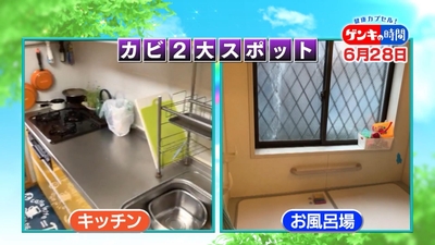 4nAZSWy8vE4saAedGp7Y.jpg?w=940&h=940