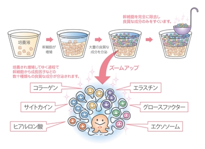 4nfvTNMgj6BEuo7x0YtC.JPG?w=940&h=940