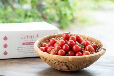 4o96Vm3enUX2b8XyK79o.jpg?w=940&h=940