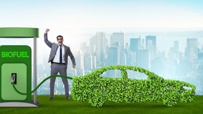 4oqyUPwhOctACQGXj8fN.png?w=940&h=940