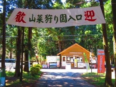 4qJKIJhHtWe5tjhJFdvj.jpg?w=940&h=940