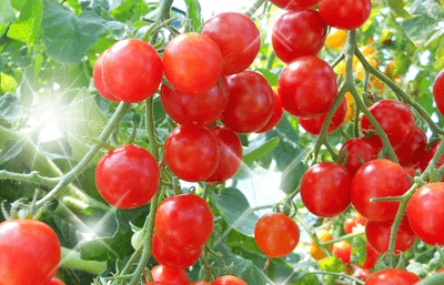 4qSsEKMuxRRI7uW56ASd.png?w=940&h=940