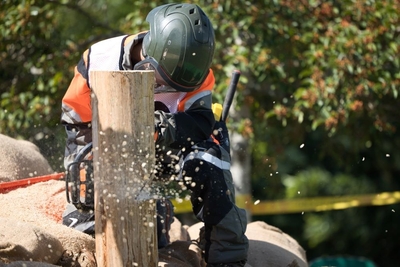 4qhCTUHEbdknEaNf54ym.jpeg?w=940&h=940