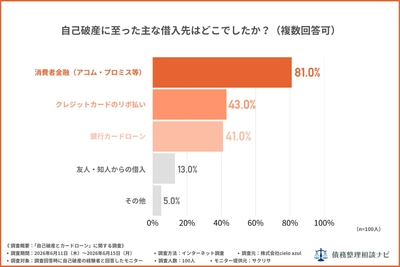 自己破産に至った主な借入先はどこでしたか？（複数回答可）