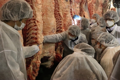 4srDjIcMzK8lLKg7bkU3.JPG?w=940&h=940