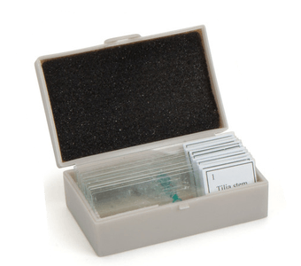 4uK241vxvKmE9OuorHZV.png?w=940&h=940