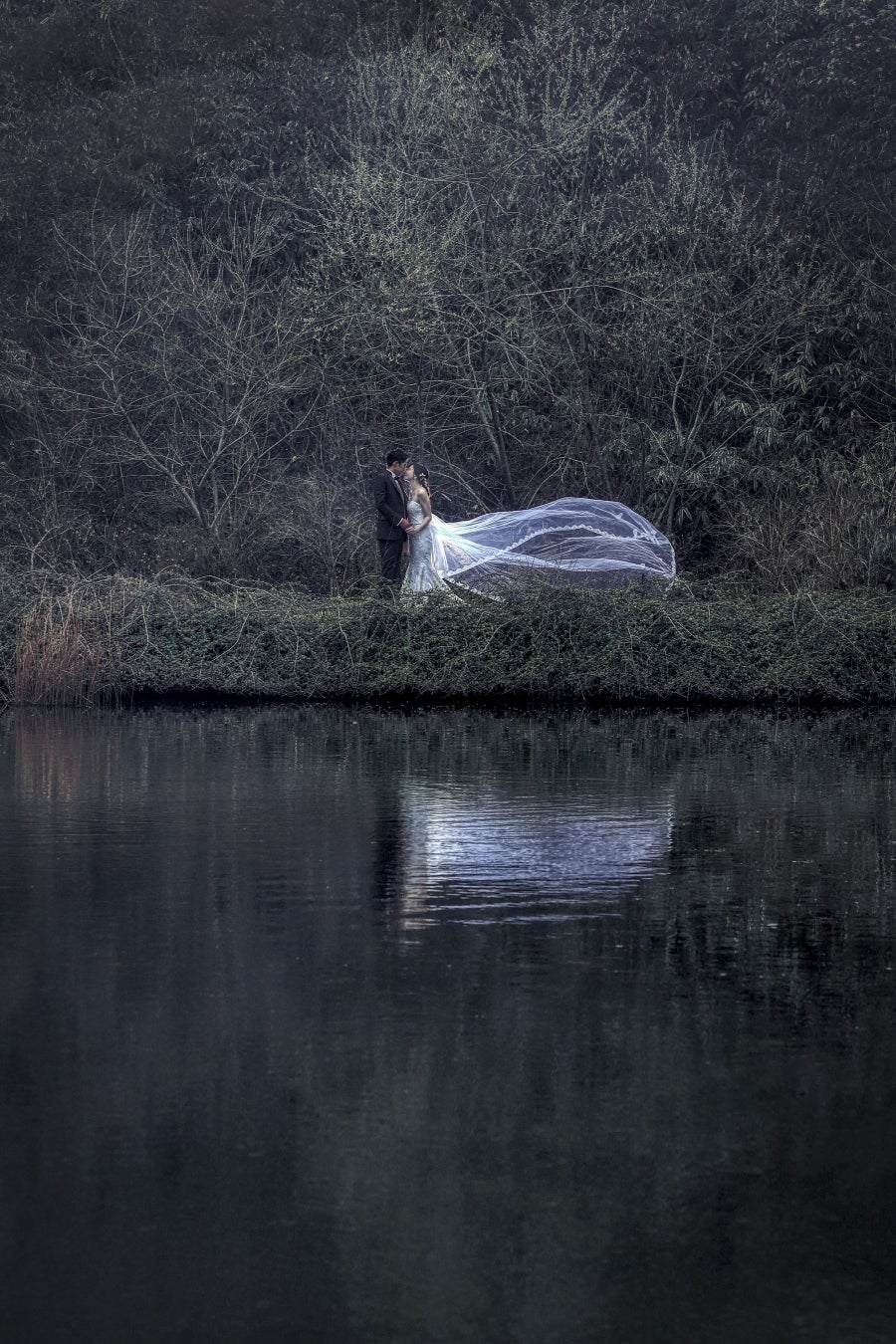 タイトル:静寂と風
