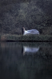 タイトル：静寂と風