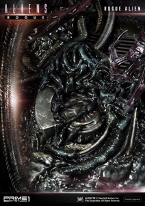 4vdvfI5IQFriYComz8wB.jpg?w=940&h=940