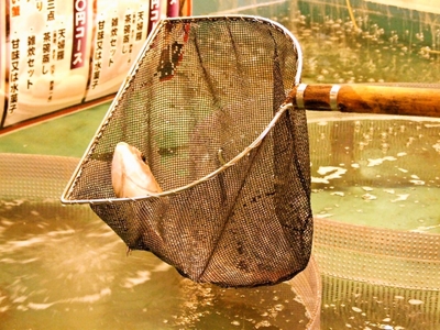 4w2JIkyKqYLuZK5tohec.jpg?w=940&h=940