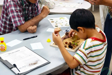 【神代植物公園】ガイドボランティアによる「～木の実で遊ぼう～夏休み親子自然教室」を開催！