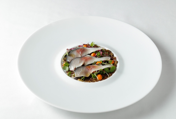 冷前菜(松永)平兵衛酢でマリネした秋鯖 熊本県産赤茄子と南高梅