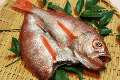 4yxvAgOThwGNdJyDK4zr.png?w=940&h=940