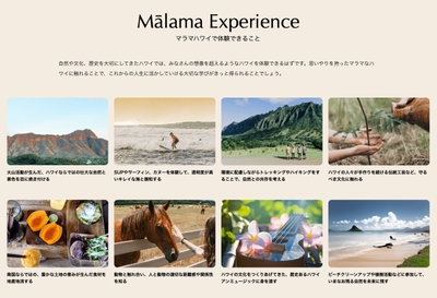 マラマな体験ができるアクティビティ（c)ハワイ州観光局