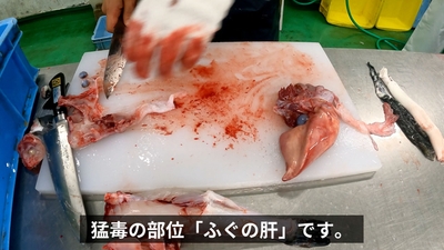 4zUvdVTJggis9B4RDJ1e.jpg?w=940&h=940