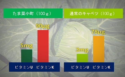 4zeQ4v2NPksfzLNzSlru.jpg?w=940&h=940