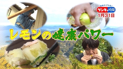 4zk2da01mibiREqU7vzi.jpg?w=940&h=940