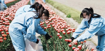 4zzRjNFLmAD74hTA4xma.jpeg?w=940&h=940