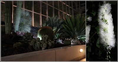 50SqNrtuj8HI9avOg9k3.jpg?w=940&h=940