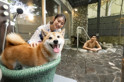 50WRGDXCyiWQbl8gM8S3.jpg?w=940&h=940