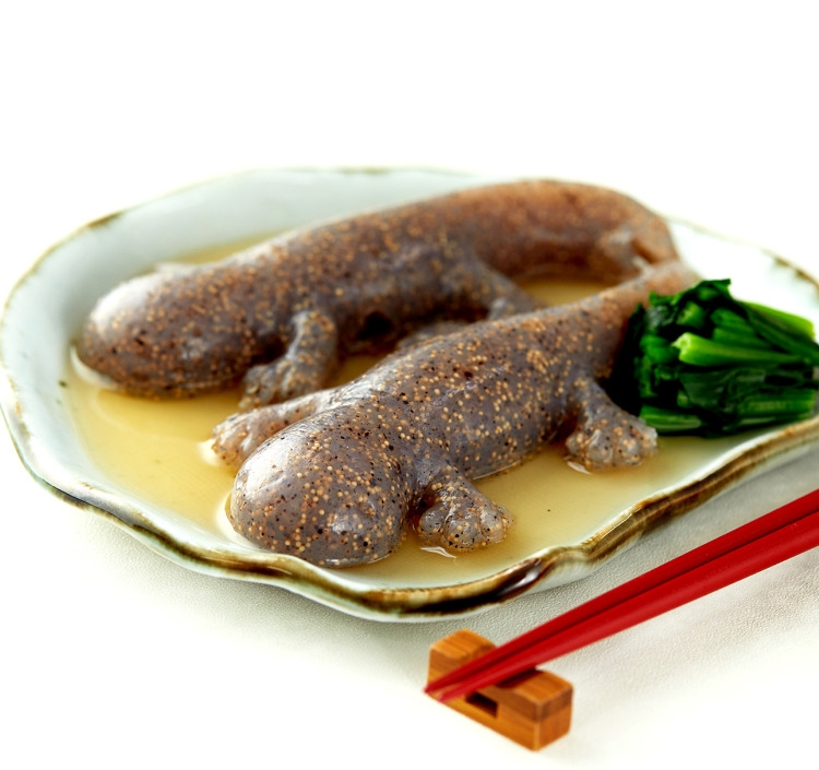 旅色お取り寄せAWARD2022 3位オオサンショウウオこんにゃく