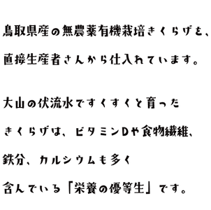 52wzbH6KcGI6g0EfNqKm.png?w=940&h=940