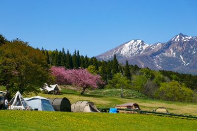 54N8KcFr2t5yR6KwYsnb.jpg?w=940&h=940