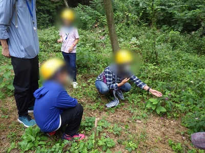 54TClhpTrCHmCSLUXJoh.JPG?w=940&h=940