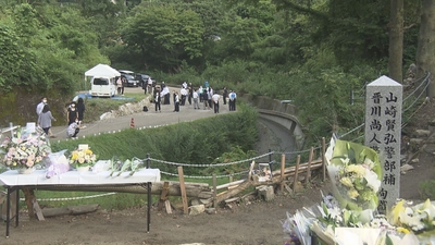 54yVY6j0UgOSngWCylMv.jpg?w=940&h=940