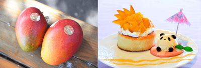 55pdetrFydbqLJABvLcr.png?w=940&h=940