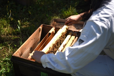 55xBGVBoCGmKtBcVXE8E.jpg?w=940&h=940