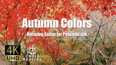 56SBq8Cv2Ko8jABNPtKp.jpg?w=940&h=940