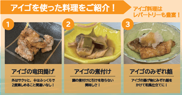 58J4U5NEO9eEUqgv3LKX.png?w=940&h=940