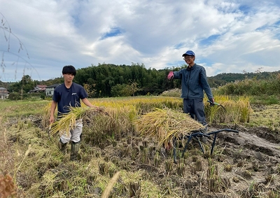 【米の生産（1次産業）】